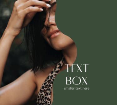 txt box