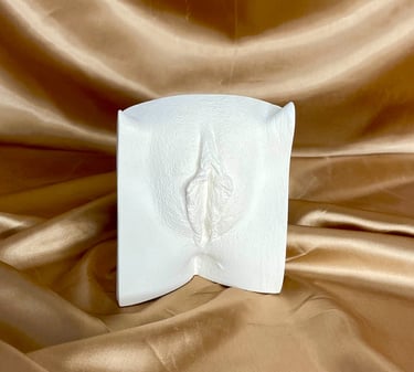 Vulve en plâtre posé sur fond doré