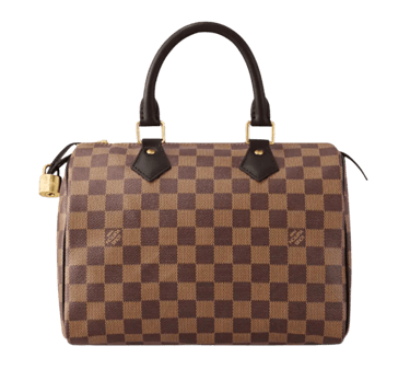 LV Speedy 25 Damier Ebene Women Handbag