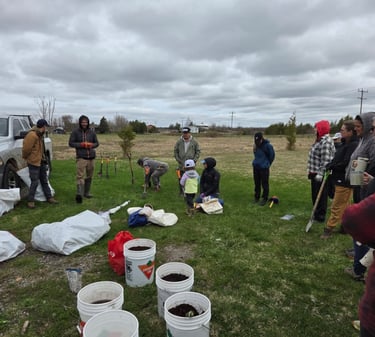 A community group gathers in a field for a tree planting event with shovels and soil buckets.