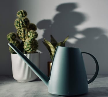 Houseplant watering can with a cactus