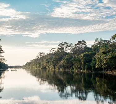um rio com uma floresta ao fundo