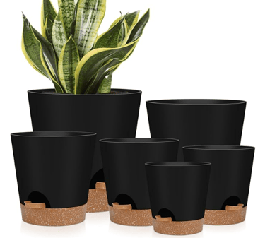 6 pack self watering plant pots in black with brown bottoms