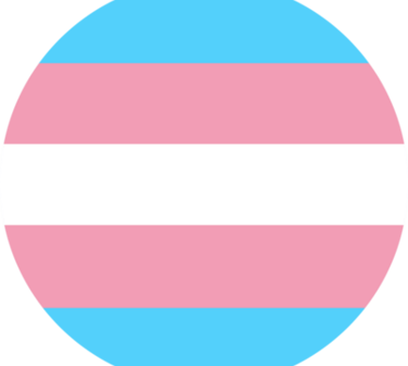 Trans LGBTQ+ flag safe salon