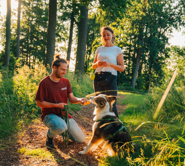 Einzelnes Mensch-Hund-Team mit Toni im Wald – Waldbaden als persönliche Auszeit