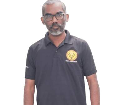 P Morthegai