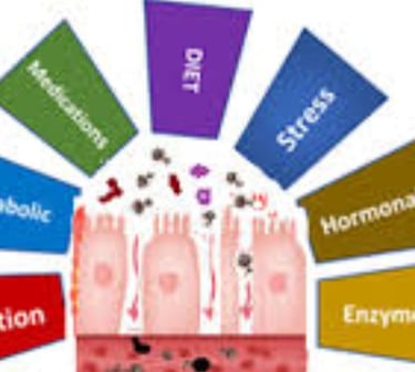 Leaky Gut Syndrome root causes and risk factors