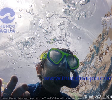 clases para bebés y niños Mérida Yucatán México