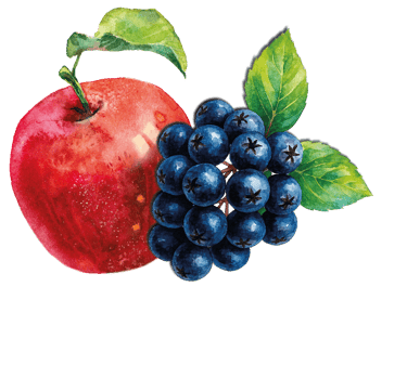 ein roter Apfel und eine Aroniabeere