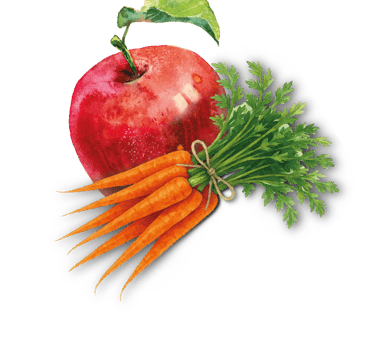 ein roter Apfel und eine Karotte