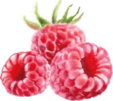 drei Himbeeren