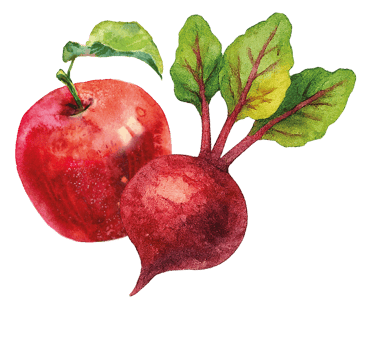 Ein roter Apfel und eine rote Rübe