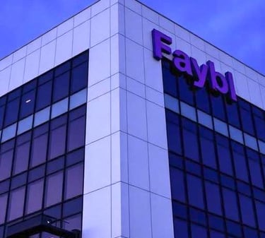 Financial Advisory Wealth Management Disruptor