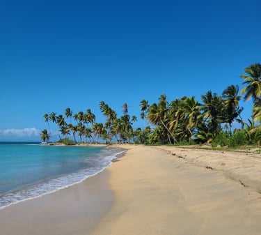 Playa Esmeralda Une visite incontournable à Miches