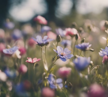 fleurs printemps