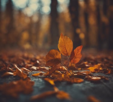 feuilles d'automone