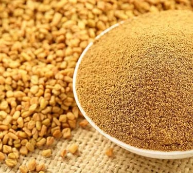Golden fenugreek powder in a white bowl next to a pile of organic whole fenugreek seeds.