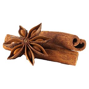 Whole star anise spice and dried cinnamon sticks isolated on a white background.