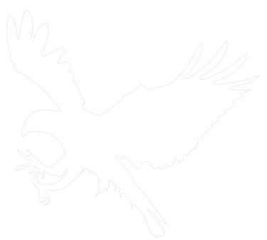 Highlands Ranch Real Estate falcon logo