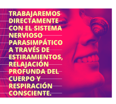 trabajamos directamente con el sistema nervioso parasimpático con estiramientos y la relajación