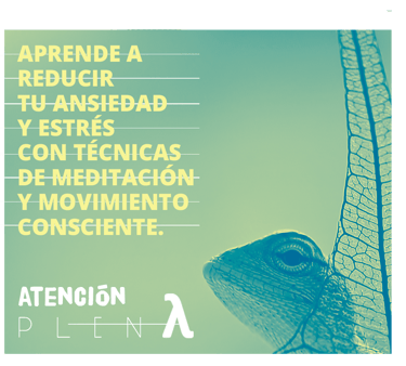 Aprende a recudir tu ansiedad y estrés con técnicas de meditación y movimiento consciente
