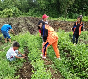 a group of children working in a field
