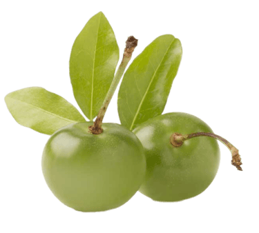 Acerola