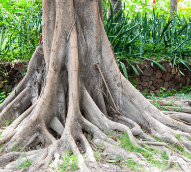 Art and Science of Grounding 