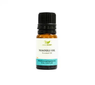 Niaouli Essential Oil