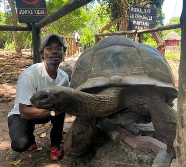Meet one of the legendary giant tortoises that call Zanzibar’s tortoise sanctuary home.