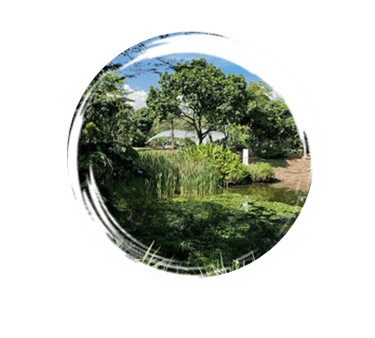 Jardin Botanico Medellin