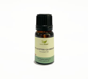 Eucalyptus Globulus Essential Oil