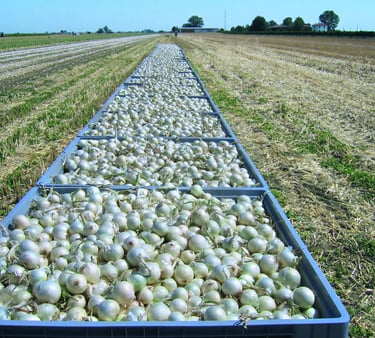 Farm-Sourced Raw Materials