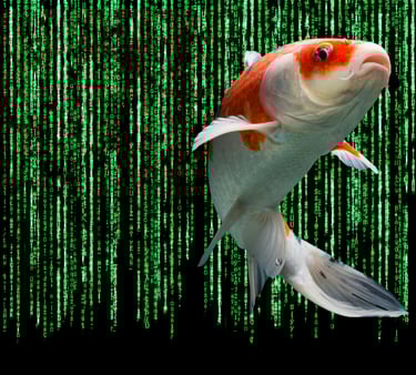 Breaking Free from the Martix