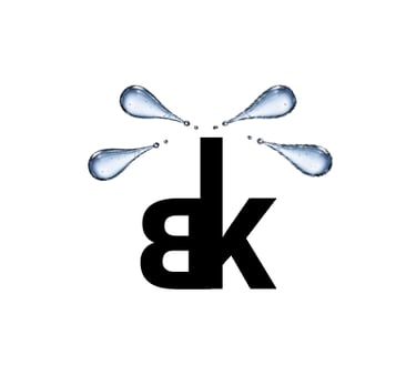 bk logo