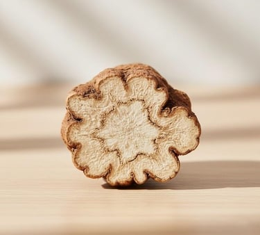 “Close-up of Ashwagandha root fibers and ultra-fine Withania Somnifera texture”