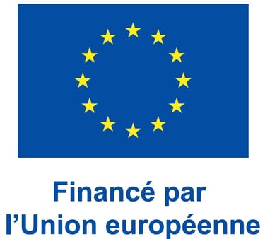 image of the European flag indicating that the project is funded by the European Union