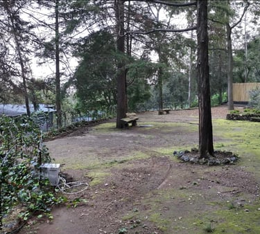 Terraza para eventos woodscape