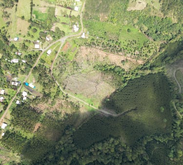 paisajismo en Popayán