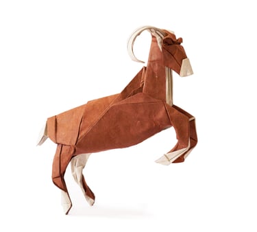 Bighorn seep_Cekouat León Origami