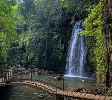 Ubud Waterfall