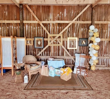 baby shower venue Galesburg Illinois
