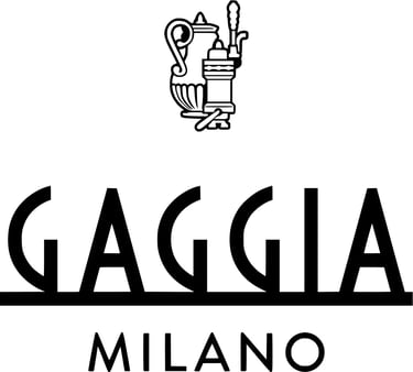 gaggia teknik servisi