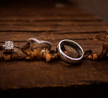 anillos de los novios