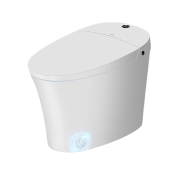 Modern smart toilet