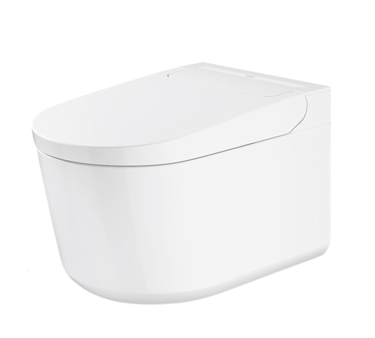 Modern shower toilet