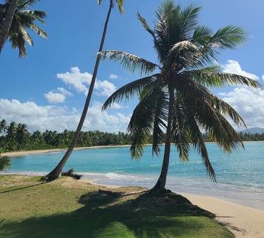 Playa Esmeralda vous promet une expérience véritablement relaxante.