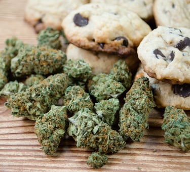 Freshly baked chocolate chip cannabis cookies alongside dried marijuana flower buds on a wooden table.