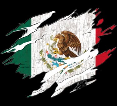 a flag of mexico with a flag of the country of mexico