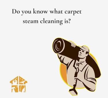 Professional Carpet Steam Cleaning Services
